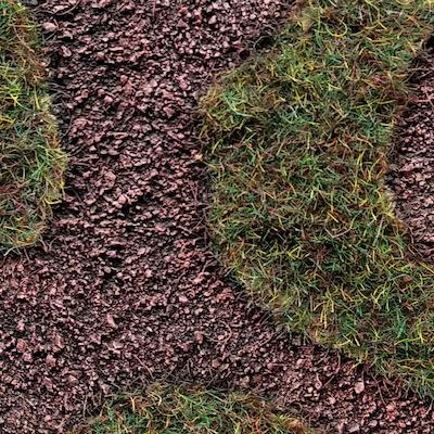 Level 2 base with grass tufts