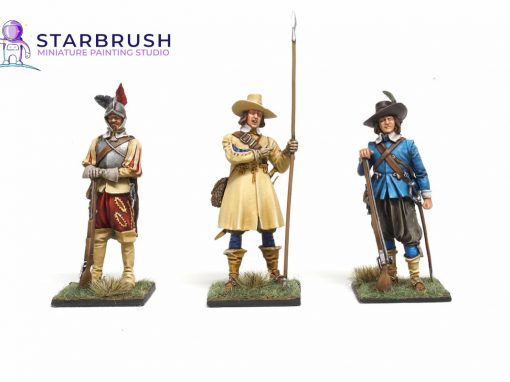 The Thirty Year War Miniatures. Level 3